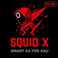 Squid X original publisher artwork