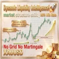 Dynamic Liquidity Intelligence original publisher artwork